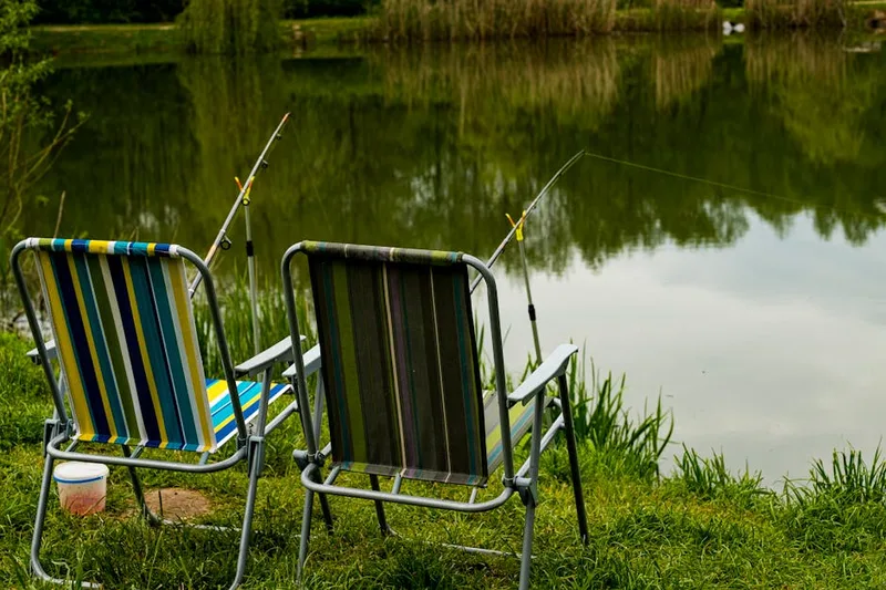 carp chairs and bedchairs for distributor stock planning
