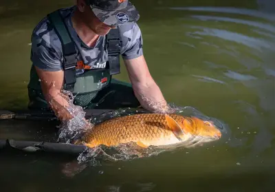 Carp Retention Sling Bulk Buy: OEM Specs Every Distributor S